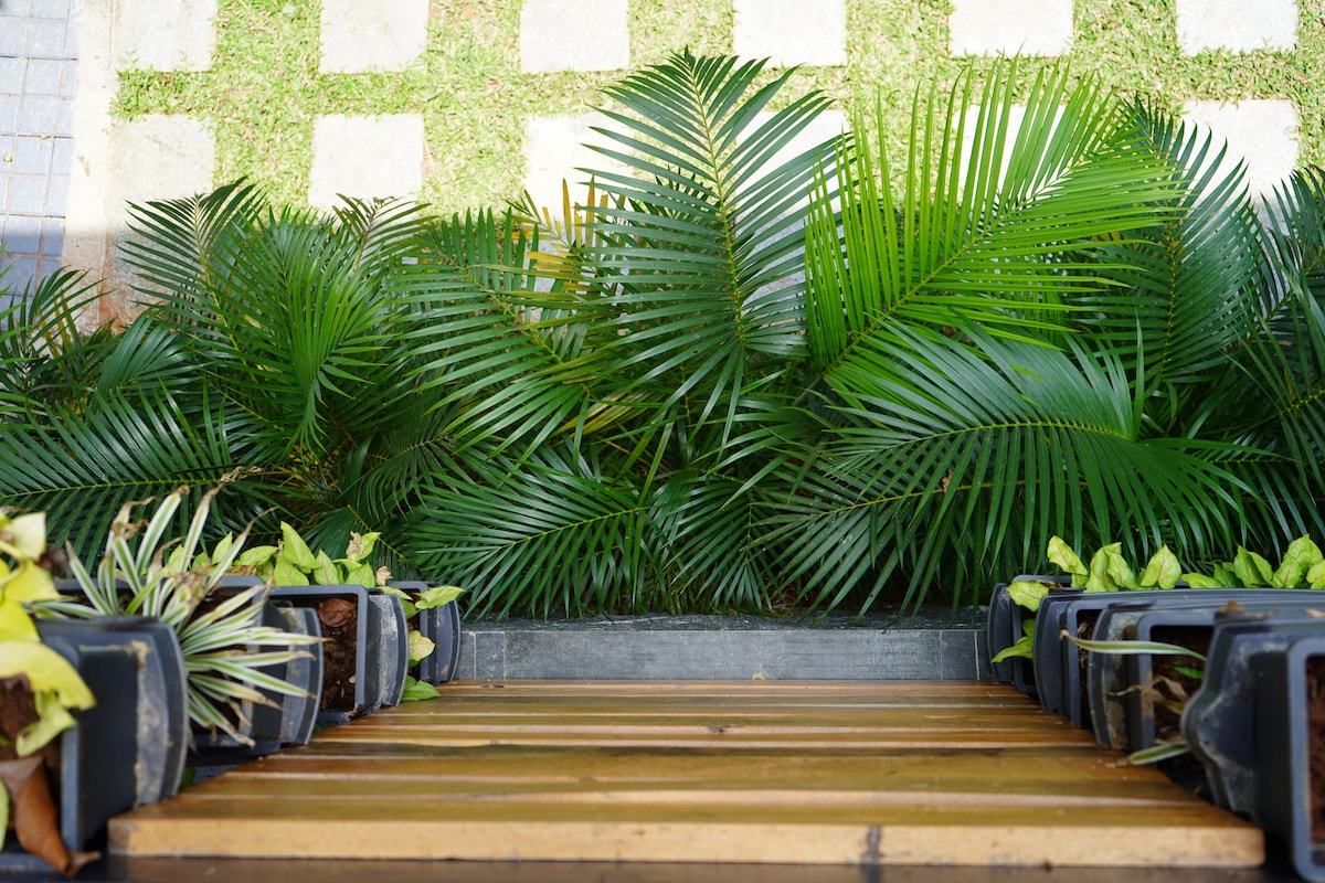 Property image 1 - Nature 2BHK AC Villa